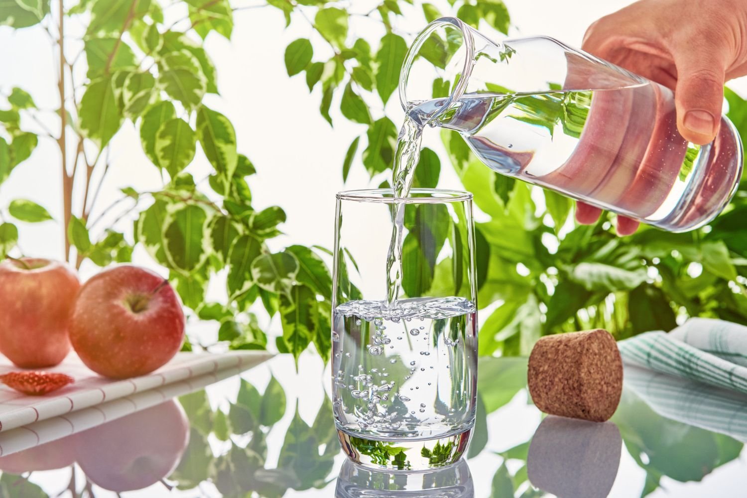 Edible Water Innovation